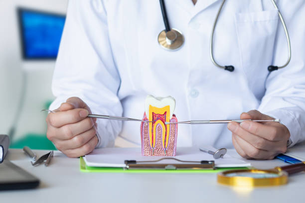 Best Pediatric Emergency Dentist in East Islip, NY
